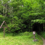 IMG8046.jpg