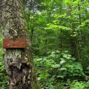 IMG8049.jpg