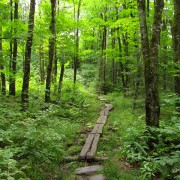 IMG8050.jpg
