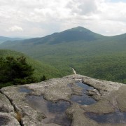 IMG8061.jpg
