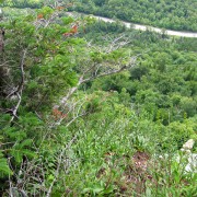 IMG8091.jpg