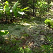 IMG8107.jpg
