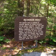 IMG8109.jpg