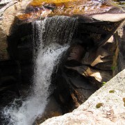 IMG8113.jpg