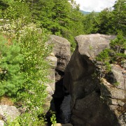 IMG8115.jpg