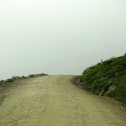IMG8128.jpg
