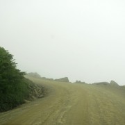 IMG8131.jpg