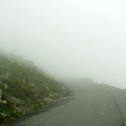 IMG8132.jpg