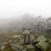 IMG8134.jpg