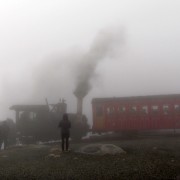 IMG8139.jpg