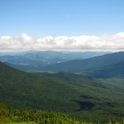IMG8161.jpg