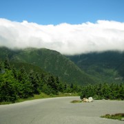 IMG8173.jpg