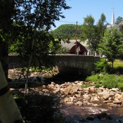 IMG8184.jpg