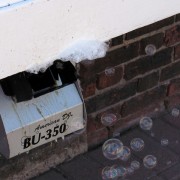 IMG8198.jpg