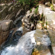 IMG8225.jpg