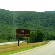 IMG8231.jpg