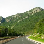 IMG8233.jpg