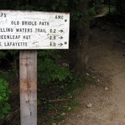 IMG8240.jpg
