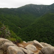 IMG8245.jpg