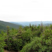 IMG8246.jpg