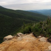 IMG8247.jpg