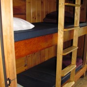 IMG8254.jpg