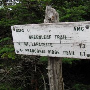 IMG8257.jpg