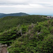 IMG8258.jpg
