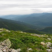 IMG8265.jpg