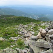 IMG8266.jpg