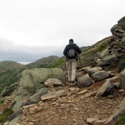 IMG8267.jpg