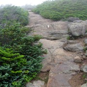 IMG8274.jpg