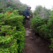 IMG8276.jpg