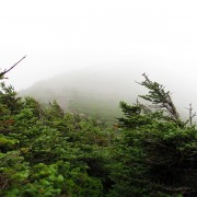 IMG8277.jpg