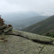 IMG8279.jpg