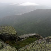 IMG8280.jpg