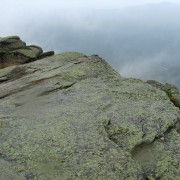 IMG8281.jpg