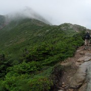 IMG8283.jpg