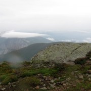 IMG8285.jpg