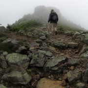 IMG8304.jpg
