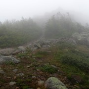 IMG8305.jpg