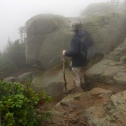 IMG8310.jpg