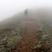 IMG8312.jpg