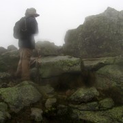 IMG8314.jpg