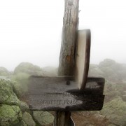 IMG8317.jpg