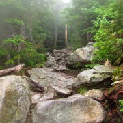 IMG8319.jpg