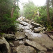 IMG8321.jpg