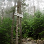 IMG8323.jpg