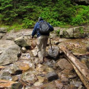 IMG8328.jpg