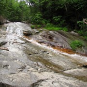 IMG8332.jpg